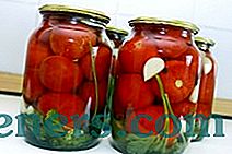 Konservēti tomāti - visdīgākās receptes