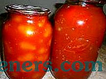 Skanūs pomidorų receptai savo sultyse