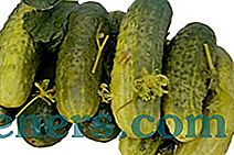 Receptai skanių konservuotų agurkų: gydyti save ir šeimą