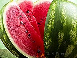 Seleção das variedades mais exclusivas de melancia