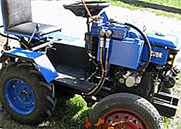 Mini-tractor casero de motoblock: instrucción paso a paso