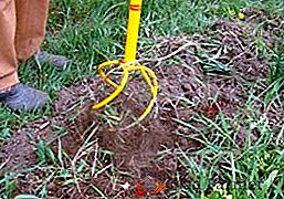 Как правилно да използвате инструмента "Торнадо" за обработка на почвата