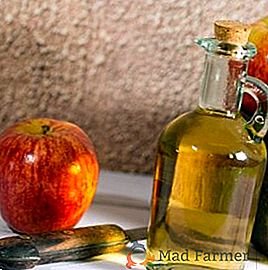 Comment faire cuire le cidre de pomme à la maison