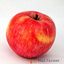 Ako pestovať jablká odrody Uslada vo vašej záhrade