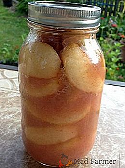 Рецепти празних јабука за зиму