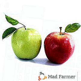 Najlepsze metody zamrażania jabłek na zimę