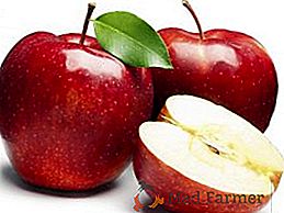 Najlepšie recepty na zber jabĺk na zimu