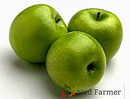 Proprietà utili e controindicazioni per le mele essiccate: stoccaggio e stoccaggio