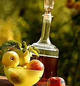 Kako narediti jabolčno vino: recept za kuhanje doma