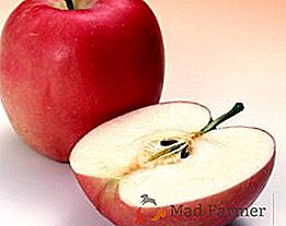 Jaké je používání a poškození jablek?