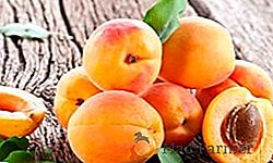 Začátek a péče o meruňky - letní voňavý zázrak