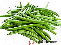 Quelle est l'utilité de la fève d'asperge pour le corps