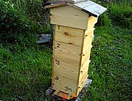 Características del contenido de las abejas y la producción independiente de la colmena Varre