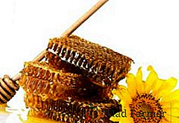 Est-il possible de manger du miel dans des nids d'abeilles, comment obtenir du miel de nids d'abeilles à la maison