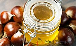 Gaštanový med: ako užitočné, chemické zloženie a kontraindikácie