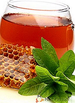 Як приготувати медовуху на горілці в домашніх умовах: рецепти