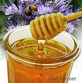 От полезния мед от фаселий
