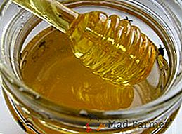 ¿Por qué es necesario usar miel en aerosol?