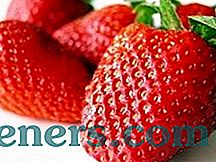 Технология на отглеждане на сорт ягоди 