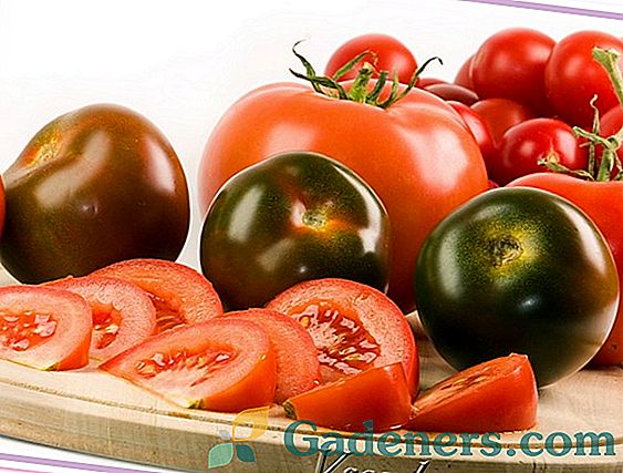 Всички видове запазване на домати с черен пипер