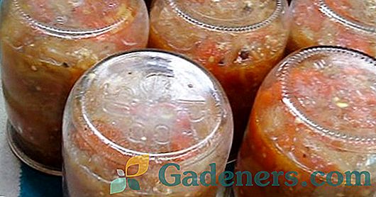 Асорті з помідорів і огірків на зиму: кращі рецепти