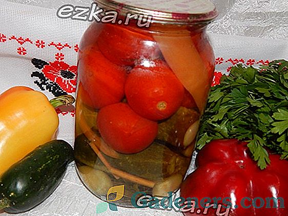 Bundles-asorti iš pomidorų ir agurkų