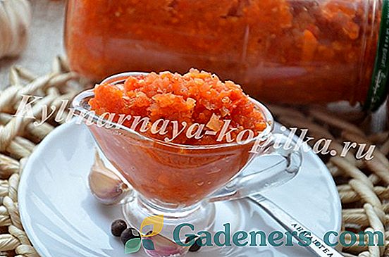 Ķiršu tomāti: visinteresantākās konservu receptes