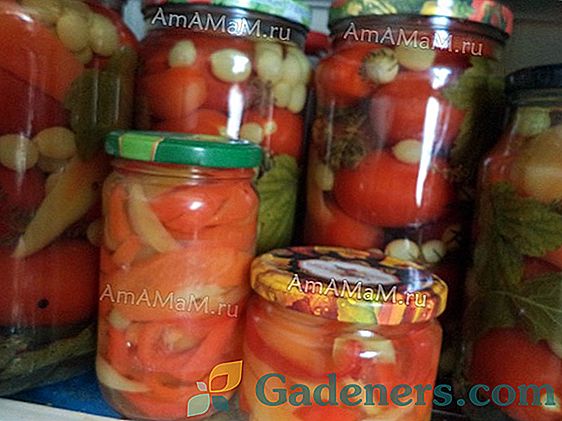 Konzervované paradajky s hroznom: nezvyčajná kombinácia
