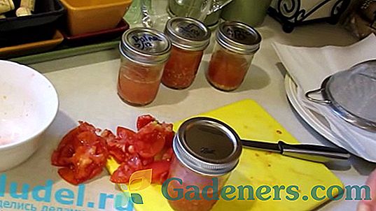 Nabywanie pomidorów: które sortować, aby dać pierwszeństwo