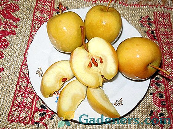 Recepty namočených jablek doma na zimu