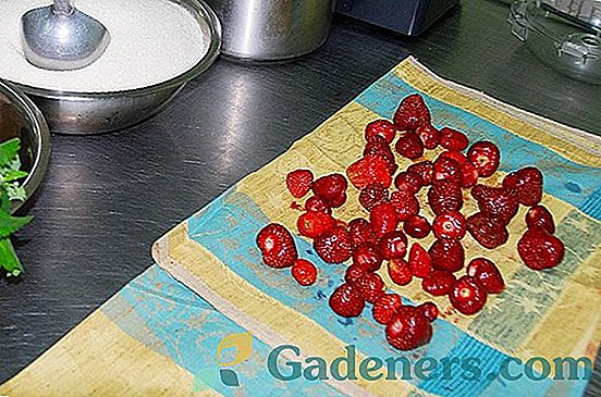Јагоде јагоде: све нијансе кухања за најквалитетније рецепте