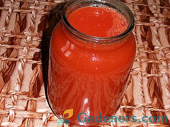 Sok od rajčice za zimu kod kuće: recepte i tajne korisnih praznina