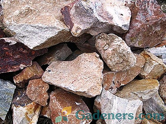 Kako izbrati pravi kamni za kamninski vrt