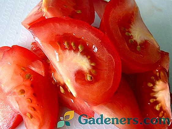Apple-домати: вкусът и полезните свойства на 