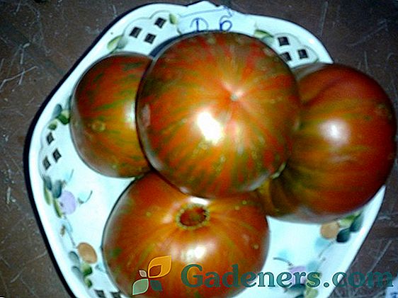 Чери домати: най-добрите сортове и особености на отглеждането