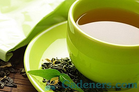 Kaip naudinga žalia arbata