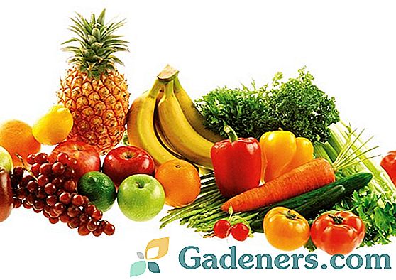 Jaká zelenina a ovoce obsahují GMO