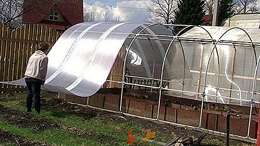 Spolehlivý rám pro skleník s vlastními rukama z dostupných materiálů: levné, ale kvalitní