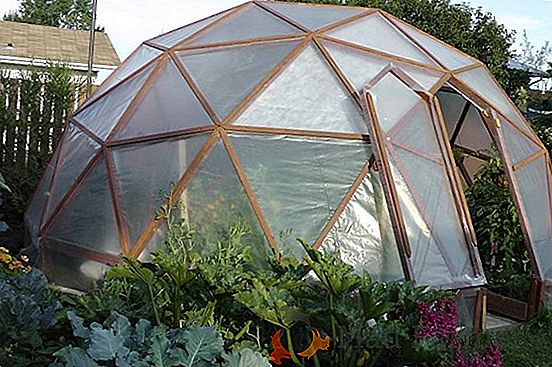 Dome оранжерия със собствените си ръце - подходящо решение за феновете на оригиналните идеи