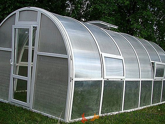 Qué construir un invernadero: elija el material del marco