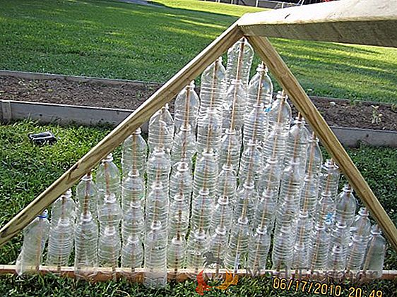 Jak vyrobit skleník s plastovými lahvemi s vlastními rukama