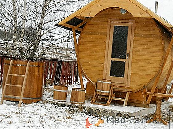 Nous construisons des clôtures décoratives avec nos propres mains