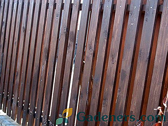 Kovové ploty pro chaty: druhy a výhody
