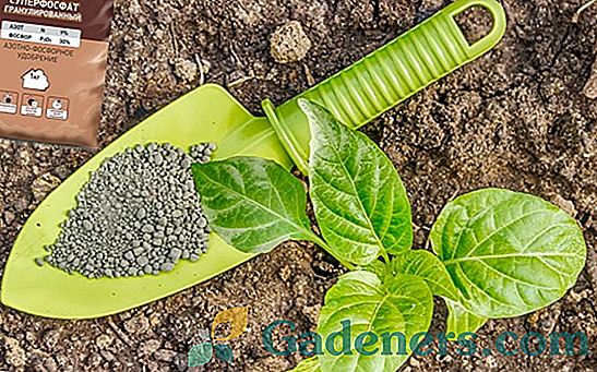 Fosforne gnojiva: važnost za biljke i značajke primjene