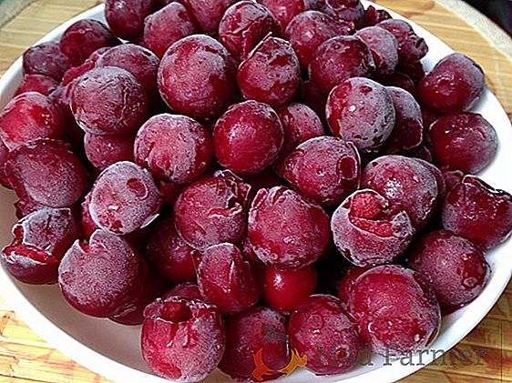 Cerejas congeladas de inverno em casa: como congelar com uma pedra e sem ela?