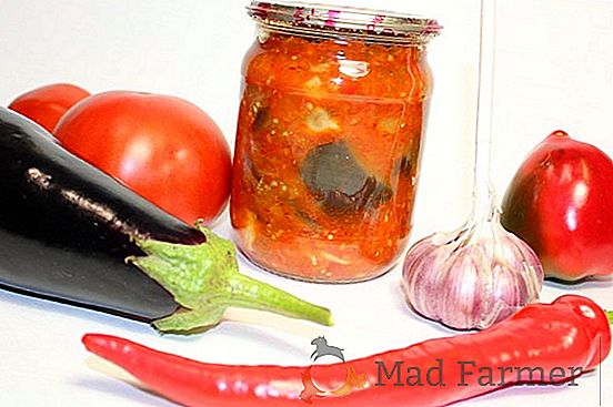 Come cucinare e conservare per i crauti invernali, farciti con cavoli e carote?