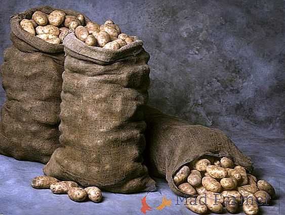 Tylko o kompleksie: jak przechowywać ziemniaki na balkonie w zimie?
