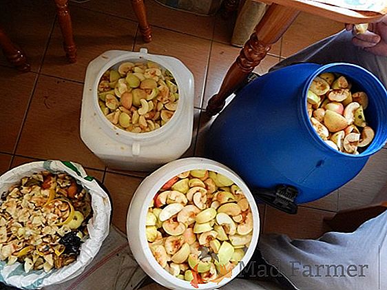 Припрема јабука: како да оперете и сјечите јабуке за сушење?