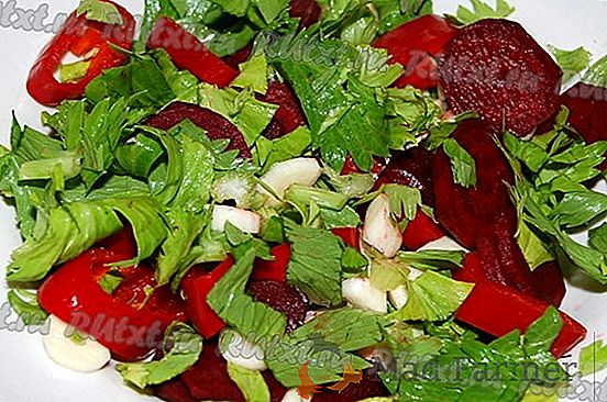 Sauerkraut cu sfeclă roșie - decor de masă în timpul săptămânii și sărbătorilor