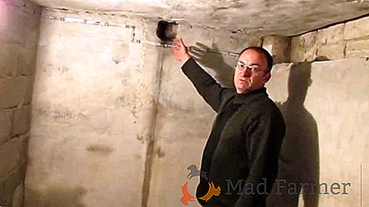 Начини за съхранение на тиква в мазето или избата през зимата